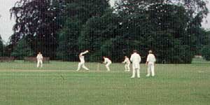 BVCC980517_3t.jpg